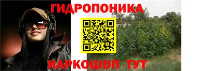 гашишное масло Кингисепп