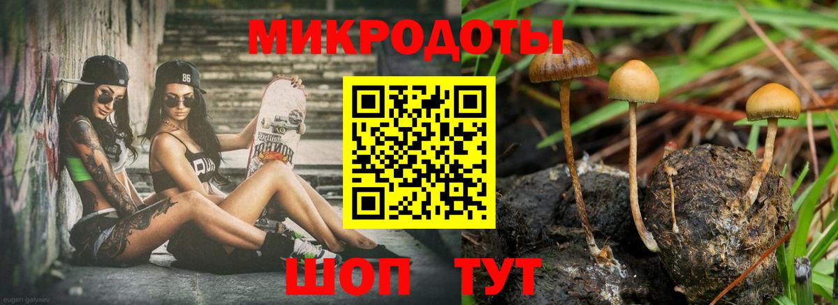 Псилоцибиновые грибы GOLDEN TEACHER  Галлюциногенные грибы GOLDEN TEACHER  Вход с VPN  цены наркотик  Калач-на-Дону 
